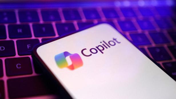 FILE PHOTO: Illustration shows Copilot logo