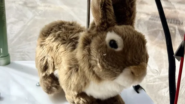 Die Geräte sehen aus wie Kuscheltiere.