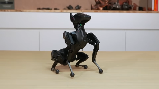Sirius ist ein kleiner Roboterhund.