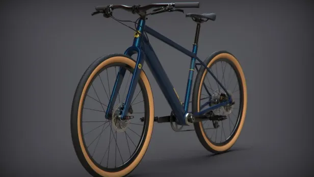 Das E-Bike von Morelle.