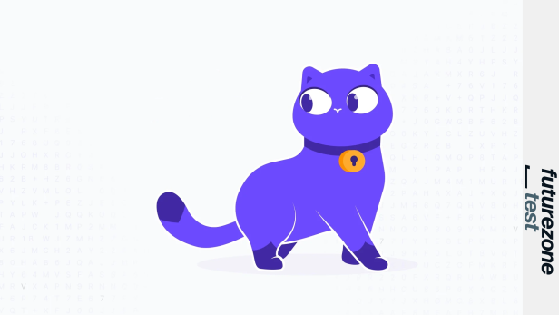 Eine lila Katze mit einem Halsband und einem Schlossanhänger.