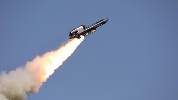 Flamingo bei einem Testflug.