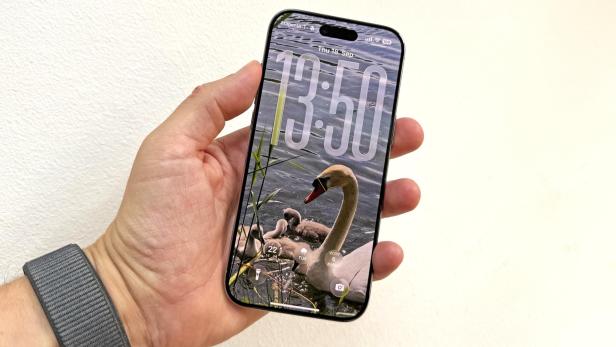 Ein iPhone zeigt ein Hintergrundbild mit einer Schwanenfamilie auf dem Sperrbildschirm.