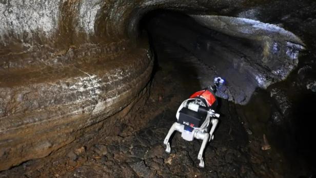 der Roboterhund in einer Höhle