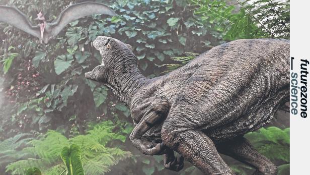 Ein Dinosaurier und ein Flugsaurier stehen inmitten dichter Vegetation, umgeben von Farnen und tropischen Pflanzen.