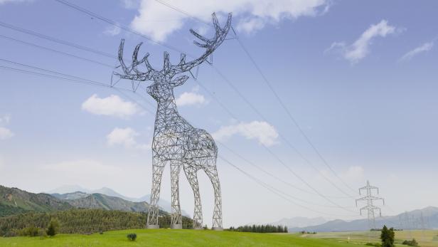 Der Hiersch-Strommasten soll in Niederösterreich stehen.