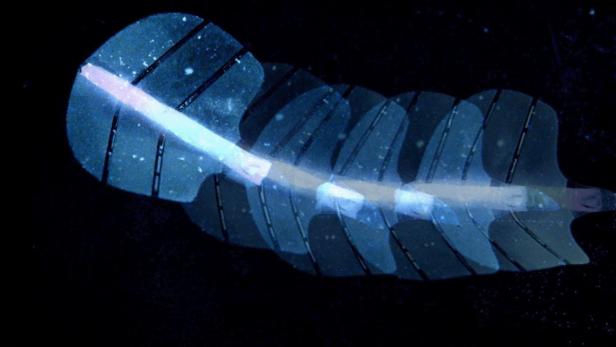 Foto des Silikon-Roboters Stingraybot vor schwarzem Hintergrund