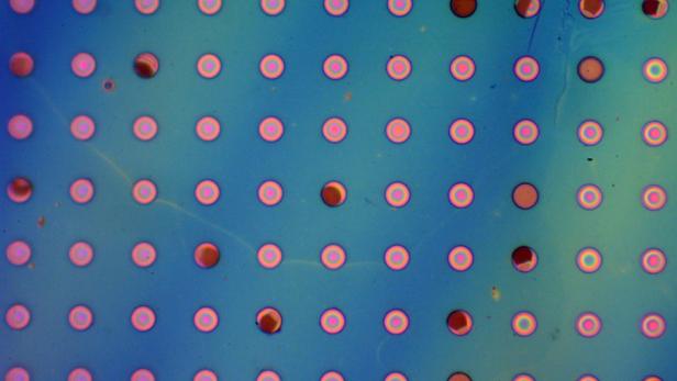 eine blau-grün-schimmernde Fläche mit gleichmäßigen rosa Punkten