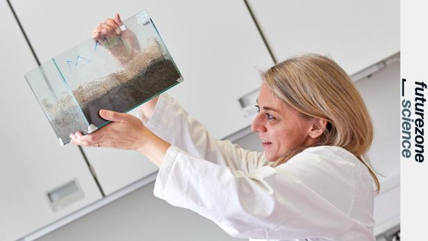 Mikroplastik in der Erde