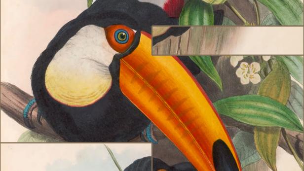 Art of Fauna - Screenshot