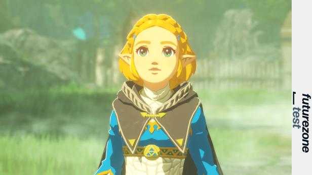 Zelda schaut zwar nett drein, haut aber bei Bedarf locker 1.000 Bokblins in ein paar Minuten weg