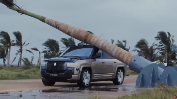 Man sieht, wie die Palme auf das Elektroauto fällt