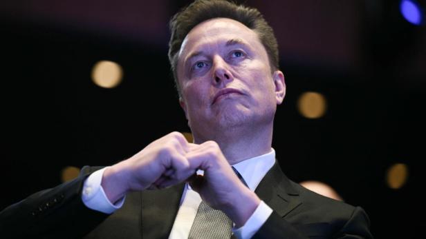 Elon Musk blickt mit geballten Fäusten nach oben.