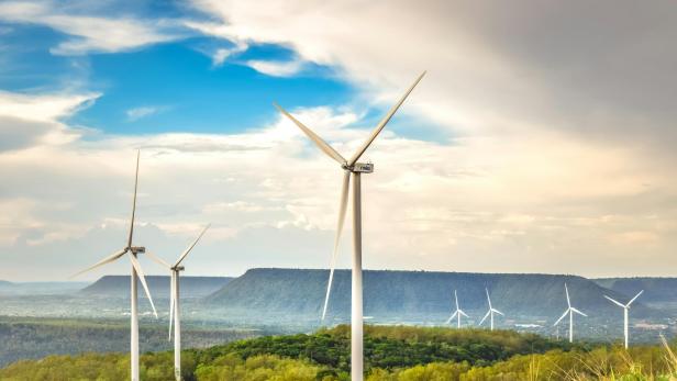 Windräder in einer grünen Landschaft 