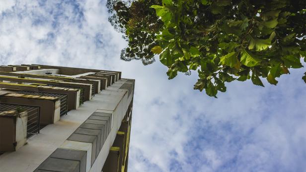 Ein Hochhaus und ein grüner Baum 