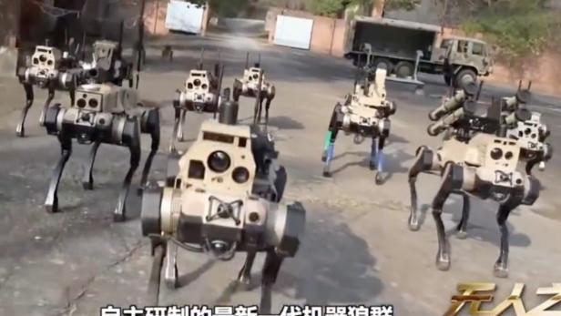 Mehrere vierbeinige, militärische Roboterhunde bewegen sich gemeinsam auf einem Hof.