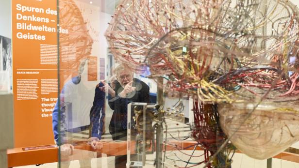 Das Elektronen-Gehirnmodell kann in der neuen TMW-Dauerausstellung "Wissenschaft im Wandel" besichtigt werden