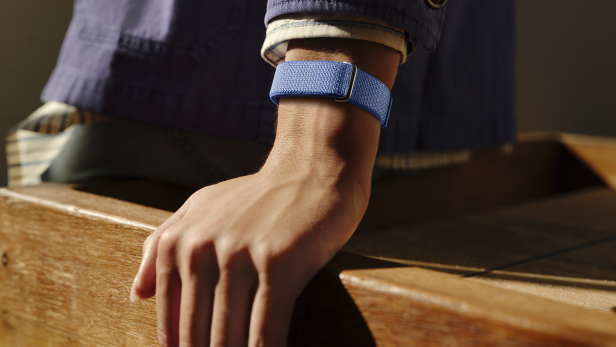 Google Fitbit Air