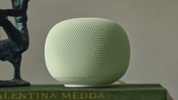 Der Google Speaker in Jade.