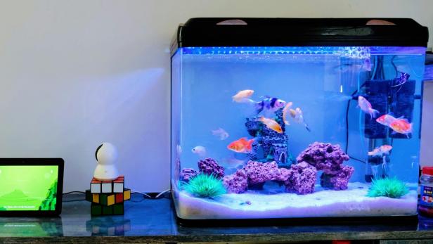 Aquarium