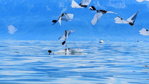 Mehrere flatternde Roboter über einem See, einer taucht ins Wasser.