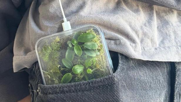 Handyhülle mit lebendigen Pflanzen