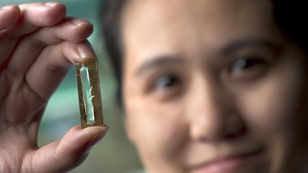 Mya Le Thai hat eine Technologie entdeckt, die die Lebensdauer von Akkus um hunderte Jahre verlängern könnte