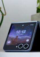 Ein blaues Falt-Smartphone steht zwischen zwei Zimmerpflanzen.