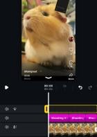 Das Bild zeigt den Editor der App Edits von Instagram, mit allen Audio- und Videospuren.