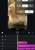 Das Bild zeigt die Auflösungsauswahl der App Edits von Instagram