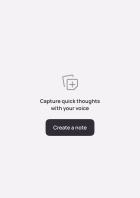 Leerer Notiz-Reiter in der Wispr Flow AI App