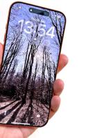 Ein iPhone zeigt ein Foto von einem Waldweg im Herbst.