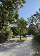 Ein Weg gabelt sich in einem Park mit Bäumen und Büschen.