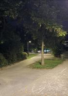 Ein Weg gabelt sich in einem Park bei Nacht.