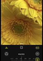 Die Makro-Option in der Halide-App ist aktiviert und zeigt gelbe Blüten.