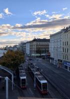 Vivo X300 Pro: Foto mit der Hauptkamera