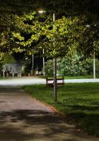 Vivo X300 Pro: Beispielfoto mit dem 3,7x optischen Zoom