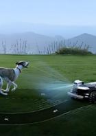 Ein moderner Mähroboter mit KI-Technologie erkennt einen Hund und hält Abstand, während ein Kind auf dem Rasen spielt.