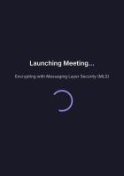 User Interface von Proton Meet