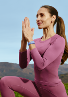 Google Fitbit Air