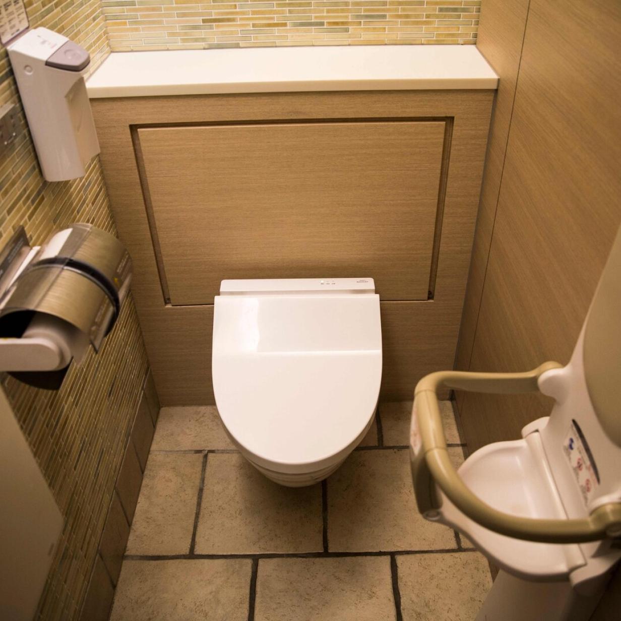 Ultra dünne universelle Toiletten abdeckung Ein-Knopf-Schnell entfernung u  Typ v o Typ Toiletten deckel verdickt langsam fallen alte Toiletten