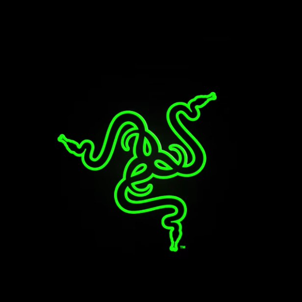 Das grüne Razer-Logo auf schwarzem Hintergrund.