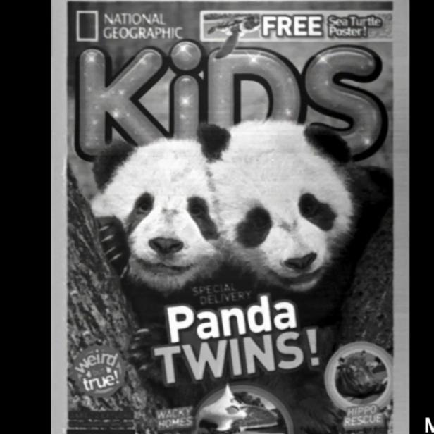 Das Cover der National Geographic Kids-Ausgabe vom März 2014 mit Panda-Zwillingen.