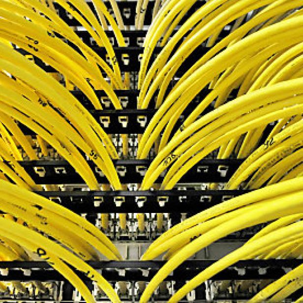 Viele gelbe Netzwerkkabel sind in einem Serverschrank angeschlossen.