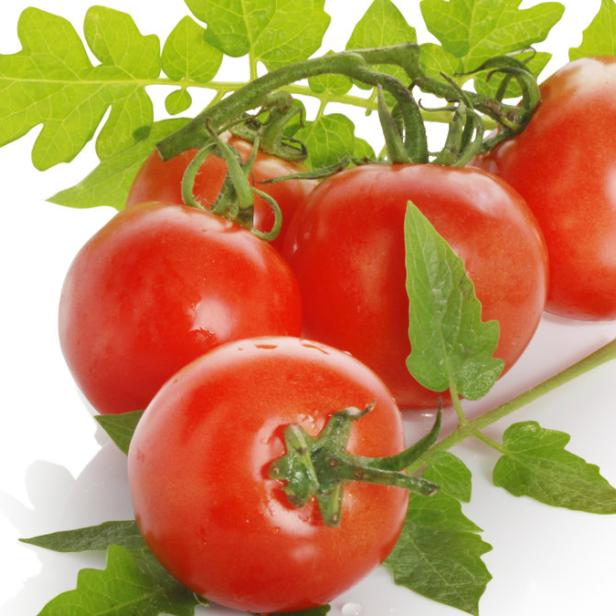 Eine Rispe mit reifen, roten Tomaten und grünen Blättern.