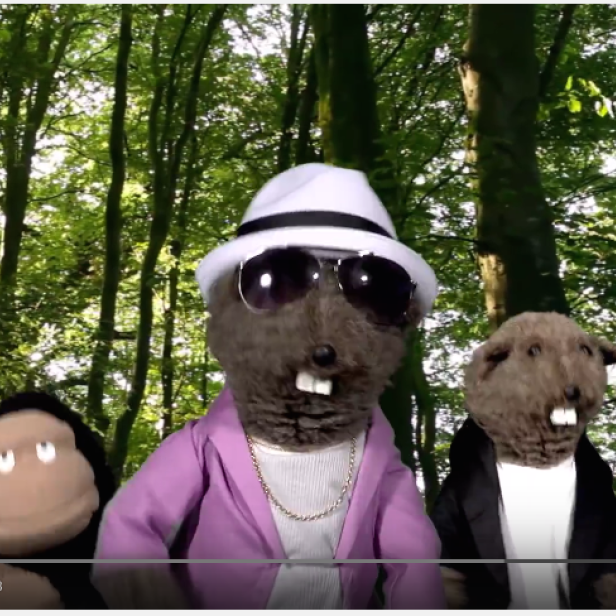 Eine Gruppe von Tierpuppen vor einem grünen Waldhintergrund.