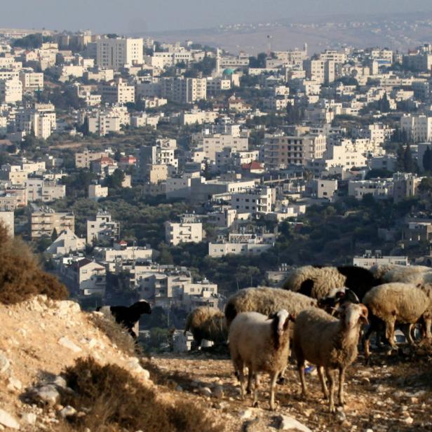 epa03823530 epa03823516 A Palestinian shepherd is seen in the southern part of the Israeli Gilo neighbourhood backdropped by the West Bank village of Beit Jala near the city of Bethlehem, West Bank, 13 August 2013. Israel has given approval for another 900 housing units in the southern part of the Israeli Gilo neighborhood near the Palestine village of Beit Jala. EPA/Abir Sultan EPA/Abir Sultan