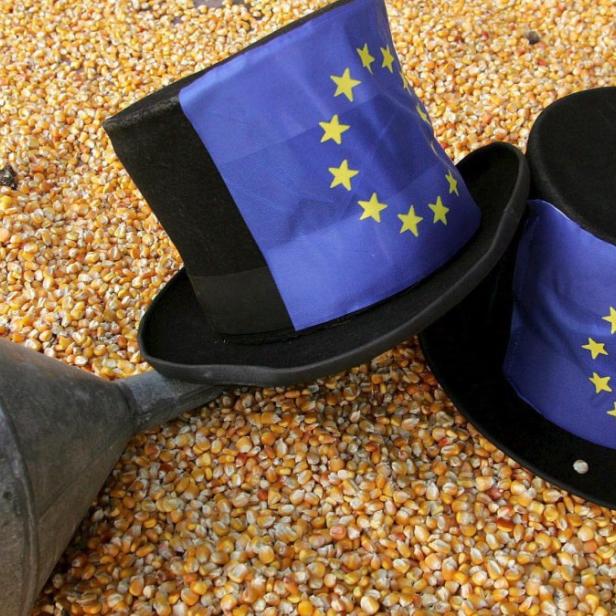 Zwei Zylinderhüte mit EU-Flagge liegen auf einem Haufen Maiskörner.
