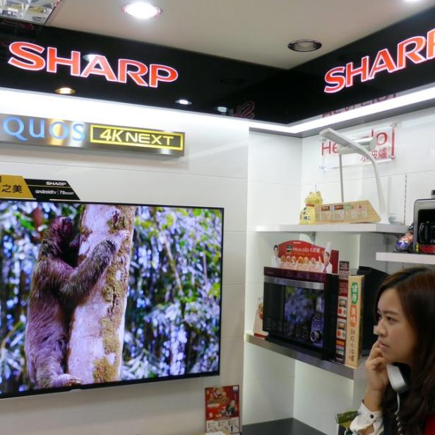 Eine Frau telefoniert vor einem Sharp Aquos 4K Next Fernseher, der ein Faultier zeigt.
