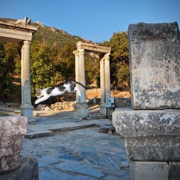 Inmitten der Ruinen in Ephesos in der Westtürkei...